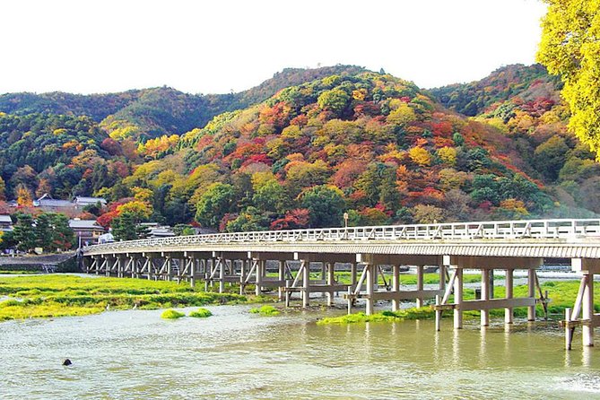 Private Kyoto Arashiyama Custom Half-Day Tour by Chartered Vehicle - Choosing a Guide or Transport Only