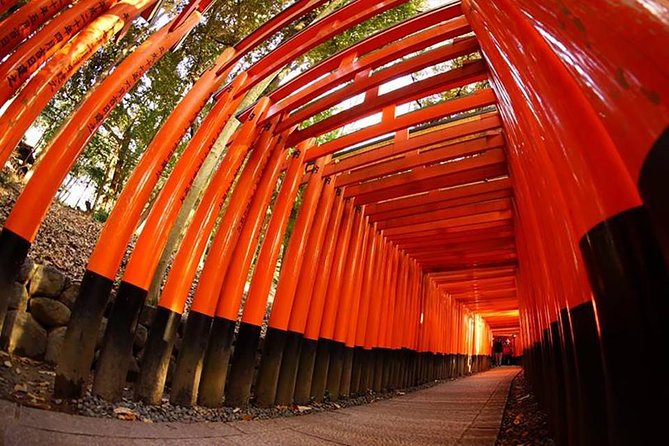 Private Kyoto Custom One Day Tour by Chartered Vehicle - Why a private car helps in Kyoto