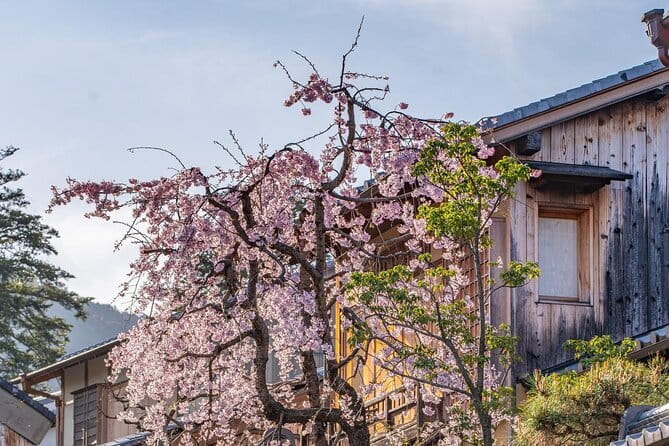 Private Kyoto Customizable Day Tour With English Guide - Fushimi Inari follows the red gates uphill