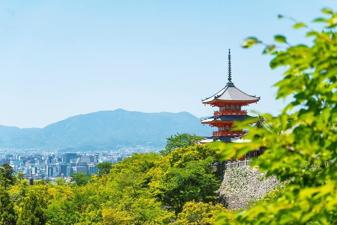 Private Kyoto Customizable Day Tour with English Speaking Driver - Timing six major stops without rushing