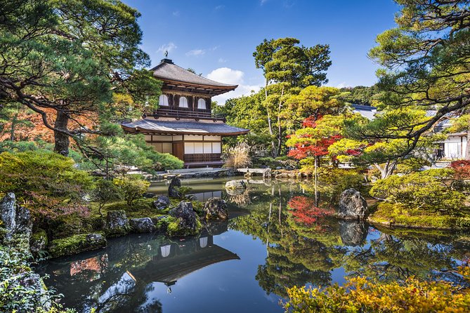 Private Kyoto Family Tour with a Local – 100% Personalized - A green break with turtles in the ponds