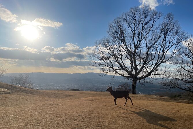 Private Kyoto Tour: Explore the Most Iconic Sights - Kinkaku-ji, the Golden Pavilion