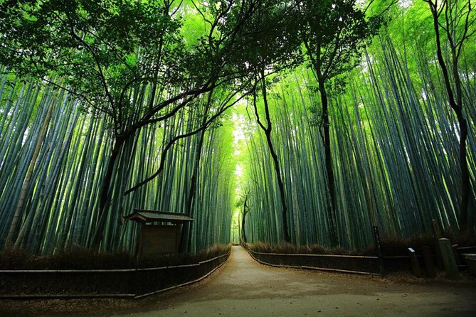 Private Kyoto Tour with Hotel Pickup and Drop Off from Osaka - Hokanji Pagoda in the Higashiyama district
