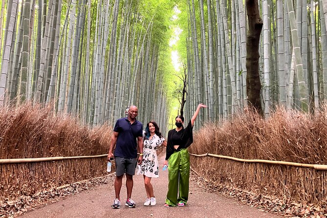 Private Kyoto Tour with Licensed Guide & Vehicle (Max 15 persons) - Arashiyama and the western hills