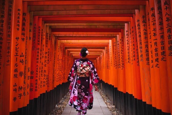 Private Tour Kyoto-Nara w/Hotel Pick Up & Drop off from Kyoto - Nara Park and the famous deer