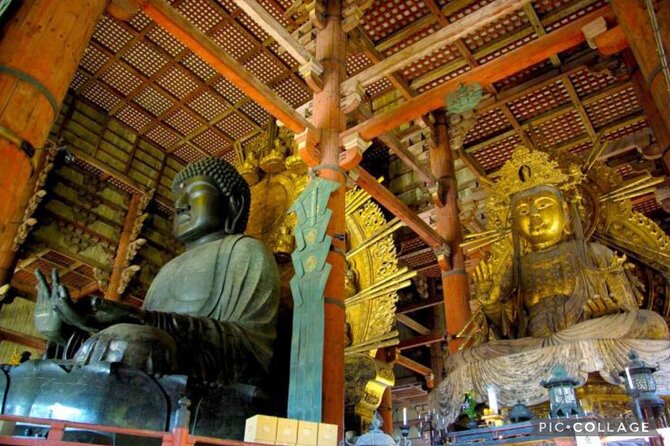 Private Tour Kyoto-Nara w/Hotel Pick Up & Drop off from Kyoto - Fushimi Inari’s vermilion gates