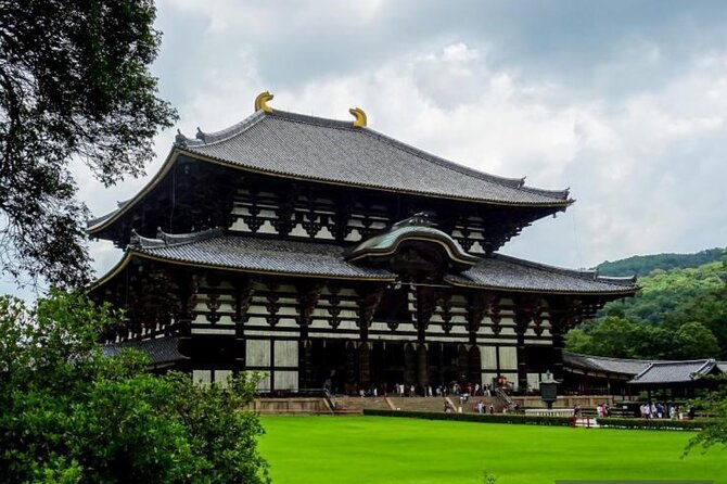 Private Tour Kyoto-Nara w/Hotel Pick Up & Drop off from Kyoto - Arashiyama Bamboo Forest
