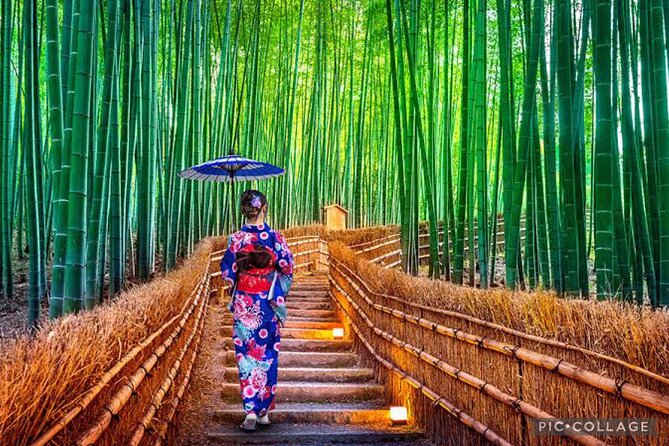 Private Tour Kyoto-Nara w/Hotel Pick Up & Drop off from Kyoto - Todai-ji and the Great Buddha of Nara