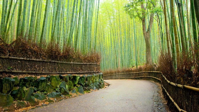 Private Tour to Monkey Park and Arashiyama Highlights - Key points at a glance