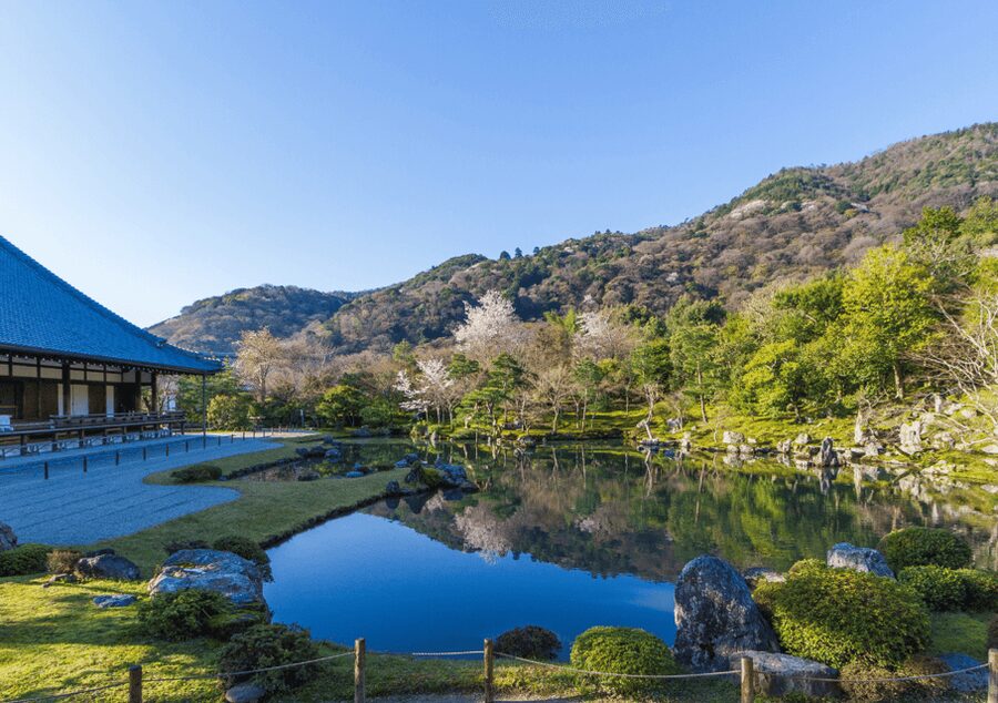 Private Tour to Monkey Park and Arashiyama Highlights - Togetsukyo Bridge and the Oi River