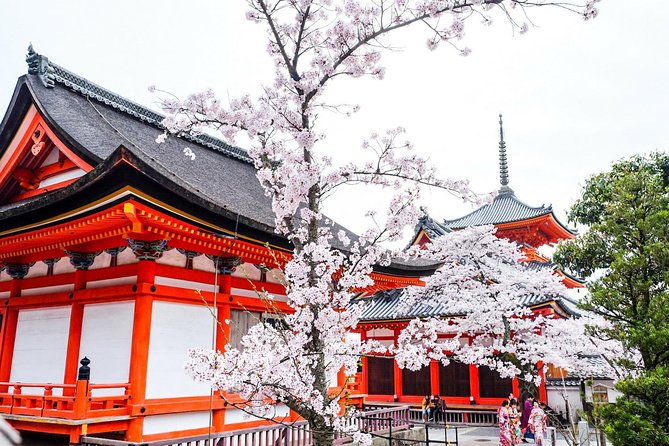 Private & Unique Kyoto Cherry Blossom "Sakura" Experience - Key points to know before booking