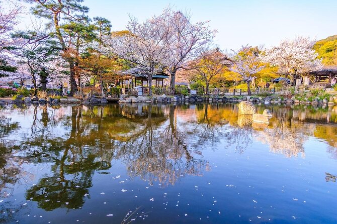 Private & Unique Kyoto Cherry Blossom "Sakura" Experience - Why this Kyoto sakura walk feels personal