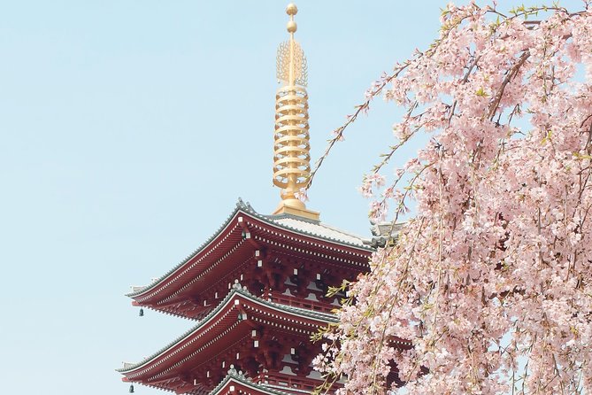 Private & Unique Kyoto Cherry Blossom "Sakura" Experience - Choosing a picnic at Daimaru’s underground food hall
