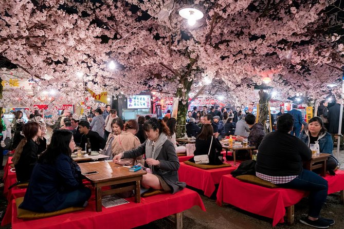 Private & Unique Kyoto Cherry Blossom "Sakura" Experience - Meeting point, walking demands, and timing