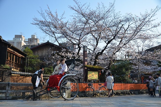 Private & Unique Kyoto Cherry Blossom "Sakura" Experience - Starting among the famous trees at Maruyama Park