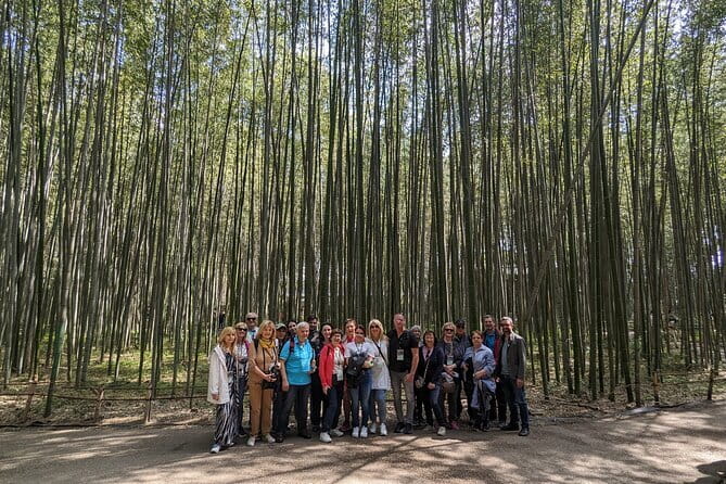 Private Walking Tour in the Arashiyama Bamboo Forest with Guide - Guides, Language, and the Private Format