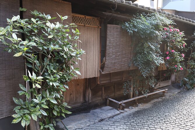 Private Walking Tour: The Little Kyoto of Tokyo, Kagurazaka - Zenkoku-ji Temple and the Tokugawa connection