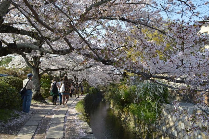 Sacred Pathways: Discover the Philosopher's Path of Kyoto - Zen ideas along the canal