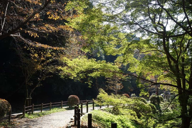 Sacred Pathways: Discover the Philosopher's Path of Kyoto - Final verdict: a strong choice for a thoughtful half-day
