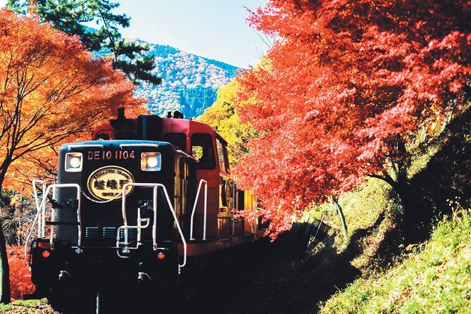 Sagano Romantic Train & Arashiyama, Kiyomizudera, Fushimi Inari Taisha Day Tour - Why this Kyoto day trip works from Osaka
