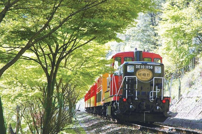 Sagano Romantic Train & Arashiyama, Kiyomizudera, Fushimi Inari Taisha Day Tour - The guide and the rhythm of a large group