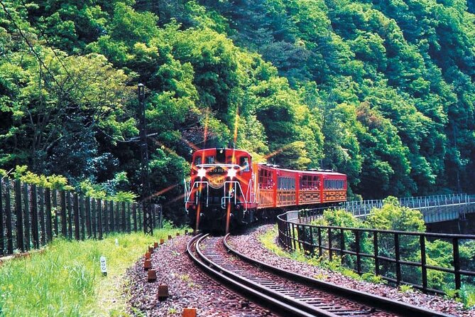 Sagano Romantic Train & Arashiyama, Kiyomizudera, Fushimi Inari Taisha Day Tour - How much walking should you expect?