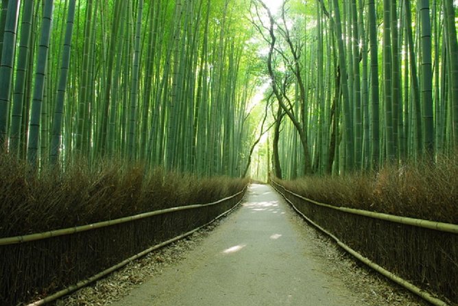 Sagano Romantic Train & Arashiyama, Kiyomizudera, Fushimi Inari Taisha Day Tour - Fushimi Inari and its tunnel of red gates