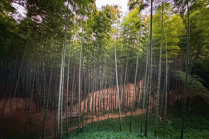 Scenic Green Tea Fields of Hidden Kyoto & Local Tea Exp (Private) - Shoju-in’s heart-shaped window