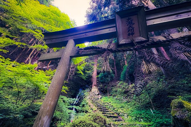Secrets of Ninjas X Samurais: Private History Tour to Iga & Koka - Why Iga and Koka make this more than a themed tour