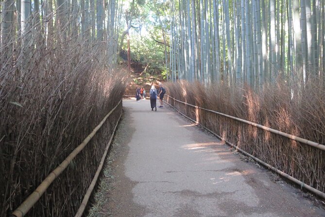Shore excursion: Full Day Private Kyoto Tour From Osaka/Kobe Port - The extra transportation fee changes the value