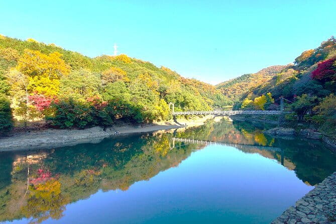 Slow Cycling Tour at Uji's Matcha Green Tea Fields and Heritage - Uji Shrine and Ujigami Shrine: two linked sacred sites