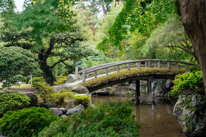 The Beauty of Kyoto by Bike: Private Tour - A look at Pontocho and central Kyoto