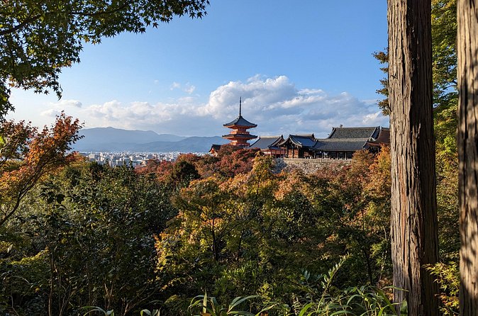 Tour in Kyoto with a Goverment Certified Tour Guide - Kinkaku-ji and Ginkaku-ji show two very different ideas of beauty