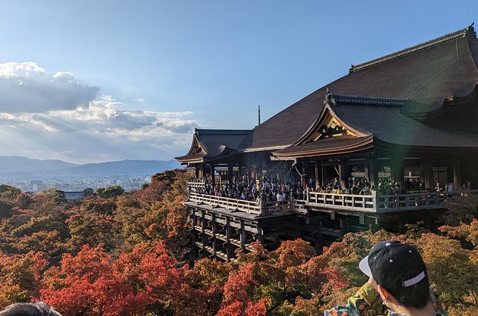 Tour in Kyoto with a Goverment Certified Tour Guide - The guides can make this day work