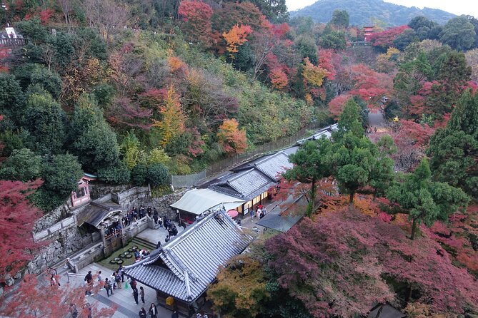 TREASURES of Kyoto: Fushimi Inari, Kiyomizu Temple, and more! - Price, booking timing, and cancellation