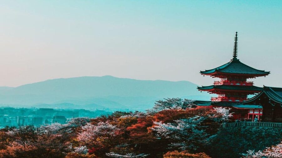 Treasures of Kyoto: Gion & historical Walking Tour - Chion-in, a major temple stop