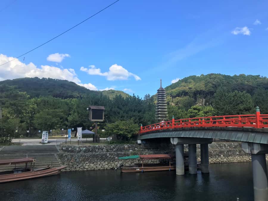 Uji: Green Tea Tour with Byodoin and Koshoji Temple Visits - Is $111 a fair price?
