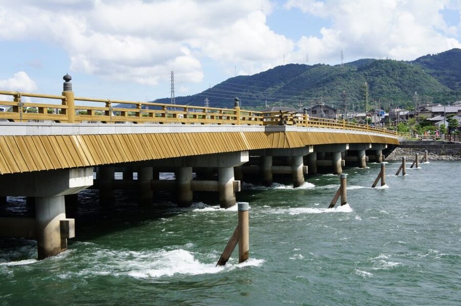 Uji: Green Tea Tour with Byodoin and Koshoji Temple Visits - Ujigami Shrine brings you into the forest