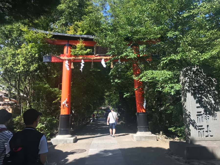 Uji: Green Tea Tour with Byodoin and Koshoji Temple Visits - Byodoin and the Phoenix Hall