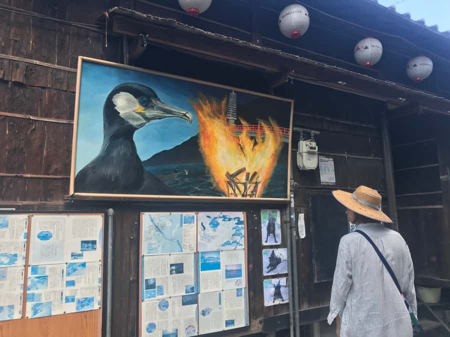 Uji: Green Tea Tour with Byodoin and Koshoji Temple Visits - What the guides add to the experience
