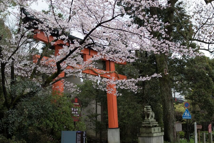 Uji: UNESCO Heritage & Tea Ceremony Walking Tour - Why Uji makes a good half-day stop