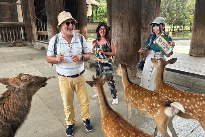 World Heritage Kyoto & Nara Uji Authentic Matcha Experience - Nara Park and the 1,400 deer