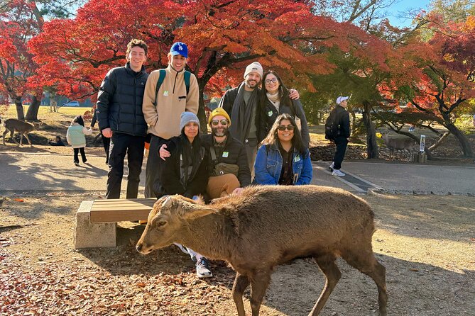World Heritage Kyoto & Nara Uji Authentic Matcha Experience - Meeting at Kyoto Avanti at 7:50 a.m.